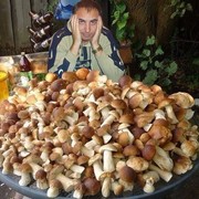 ���������� ������, ���� ������� ����������, 37 ���, ������������ ��� ������, ����� � ���������, c�������� ���������