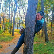 ���������� ����, ���� ������� ������, 44 ����, ������������ ��� ������, ����� � ���������, c�������� ���������