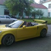 ���������� ����-�����������, ���� ������� ����� �����, 33 ����, ������������ ��� ������