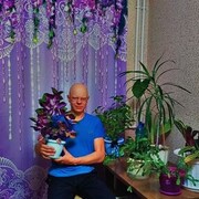  -,   , 41 ,   c 