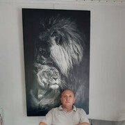  ,   , 53 ,   ,   