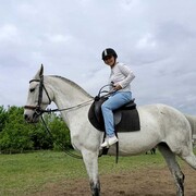 ���������� ���������, ���� ������� �����, 41 ���, ������������ ��� ������, ����� � ���������, c�������� ���������