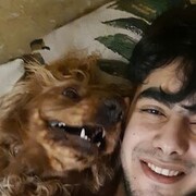 ���������� �����-���������, ���� ������� Gor, 26 ���, ������������ ��� ������, ����� � ���������, c�������� ���������