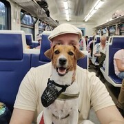 ���������� ������, ���� ������� ������, 45 ���, ������������ ��� ����� � ���������, c�������� ���������