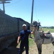 ���������� ������, ���� ������� �����, 40 ���, ������������ ��� ����� � ���������, c�������� ���������