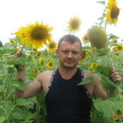  ,   , 46 ,  