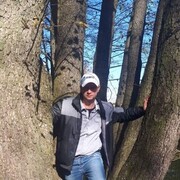 ���������� �����, ���� ������� �������, 40 ���, ������������ ��� ������, ����� � ���������