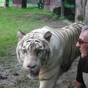 ���������� �����, ���� ������� ������, 59 ���, ������������ ��� ������, ����� � ���������, c�������� ���������