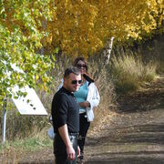 ���������� ����, ���� ������� ���������, 43 ����, ������������ ��� c�������� ���������, ���������