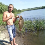 ���������� ���������, ������� ������, 37