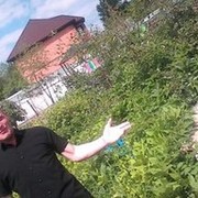 ���������� ������, ���� ������� ����, 43 ����, ������������ ��� ����� � ���������, c�������� ���������