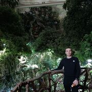 ���������� ������, ���� ������� ����, 26 ���, ������������ ��� ������, ����� � ���������, c�������� ���������, ���������