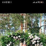  -,   , 45 ,   ,   , c 
