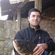  ,  vard, 41
