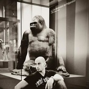 ���������� ������, ���� ������� ����, 36 ���, ������������ 