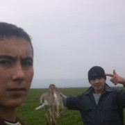 ��� ��� ��� ����