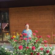  ,   , 67 ,   ,   