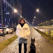 ���������� ��������, ���� ������� �������, 43 ����, ������������ ��� c�������� ���������, ���������