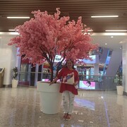  ,   , 47 ,   ,   , c 