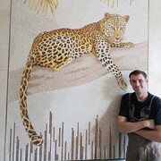 ���������� ����, ���� ������� ����, 37 ���, ������������ ��� ������, ����� � ���������