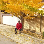  ,   Roma, 42 ,   ,   , c 