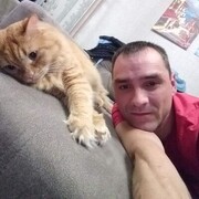  ,   , 41 ,     , c 