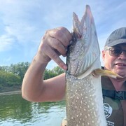 ���������� ���, ���� ������� �����, 41 ���, ������������ ��� ������, ����� � ���������