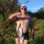  ,   , 52 ,   