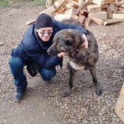  ,   , 50 ,     , c , 