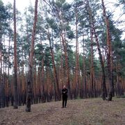 ���������� �������, ���� ������� ����, 29 ���, ������������ ��� c�������� ���������