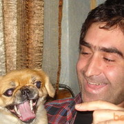  ,   Dadu, 41 ,     , c 