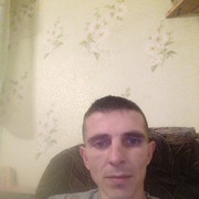  -,   , 41 ,   