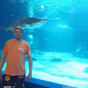  ,   Bruno, 43 ,   ,   
