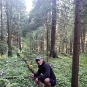 ���������� ������, ���� ������� HOVO, 43 ����, ������������ ��� ������, ����� � ���������, c�������� ���������