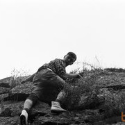 ���������� �����-���������, ���� ������� �������, 39 ���, ������������ ��� ������