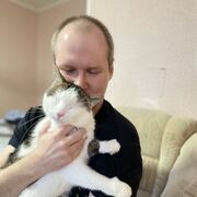  ,   , 36 ,     , c 