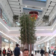 ,   BEGZOD, 36 ,   ,   , c 