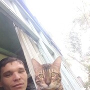 ���������� ������, ���� ������� ������, 37 ���, ������������ ��� ������, ����� � ���������, c�������� ���������, ���������