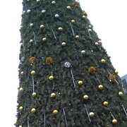 ���������� ������, ���� ������� ��������, 32 ����, ������������ ��� ������, ����� � ���������