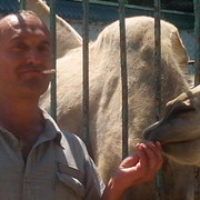 ���������� ������������, ���� ������� ������, 50 ���, ������������ ��� ������, ����� � ���������, c�������� ���������