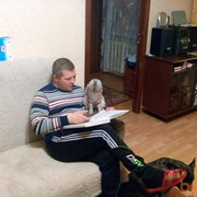 ���������� ����������, ������� ������, 47