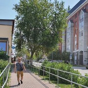 ���������� �����, ���� ������� Murat, 33 ����, ������������ ��� ������, ����� � ���������