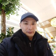  ,   , 41 ,   ,   