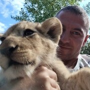 ���������� �����������, ���� ������� �������, 31 ���, ������������ ��� ������, ����� � ���������