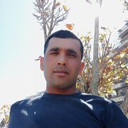  ,   UMID, 31 ,   ,   