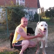  ,   , 53 ,     , c 