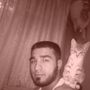  -,   , 37 ,  