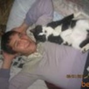  ,   Osman, 34 ,   