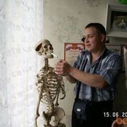  ,   , 54 ,  