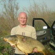  Ramat Gan,   , 52 ,   